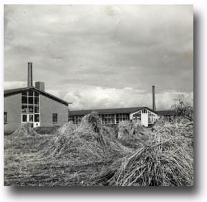 gebouwen aan de vleddermond